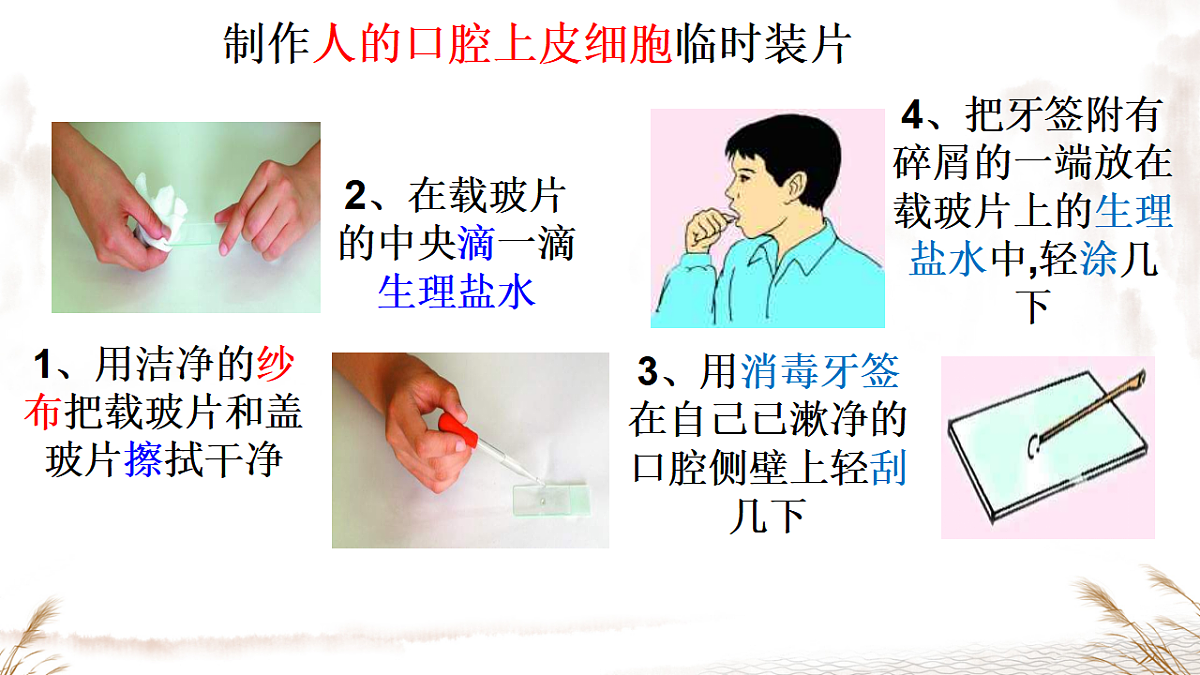 17357004第7页