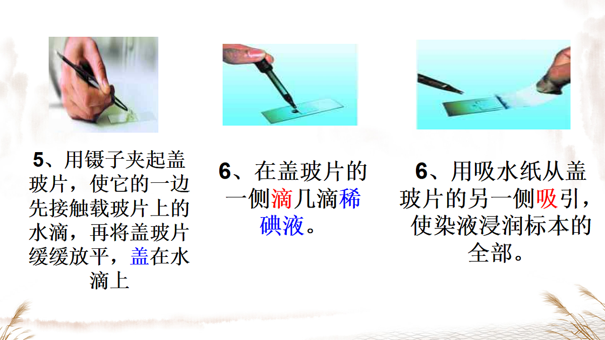 17357004第8页