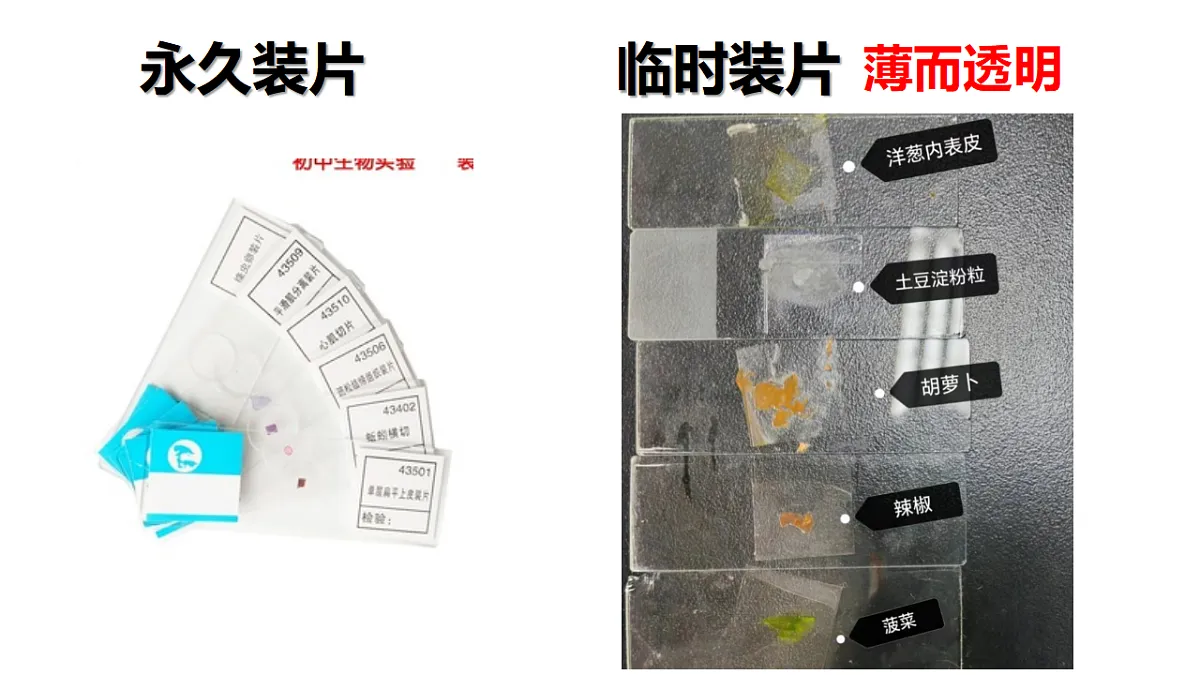 17357005第2页