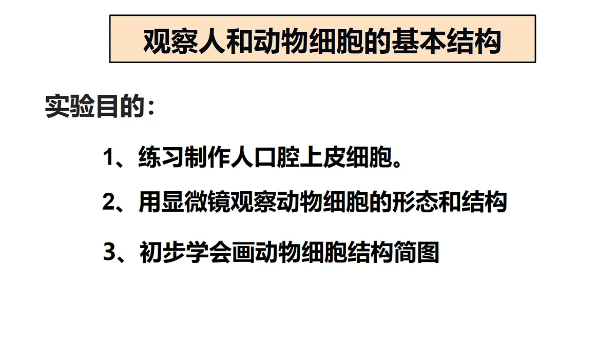 17357005第3页