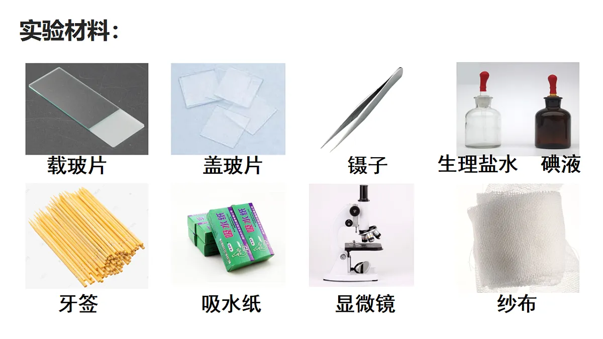 17357005第4页