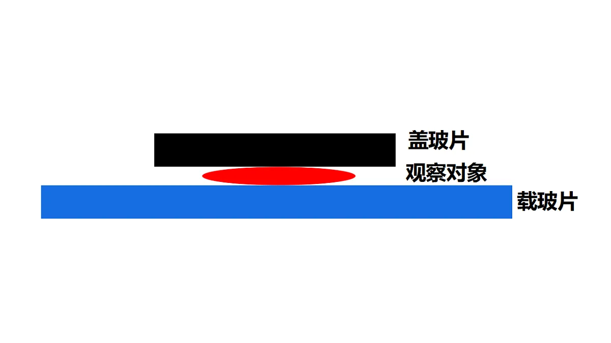 17357005第5页