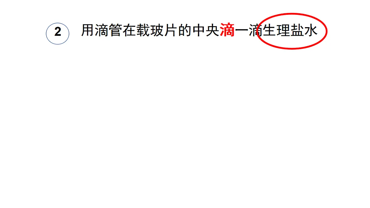 17357005第7页