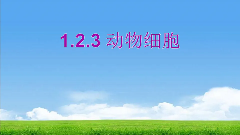 17357006第1页