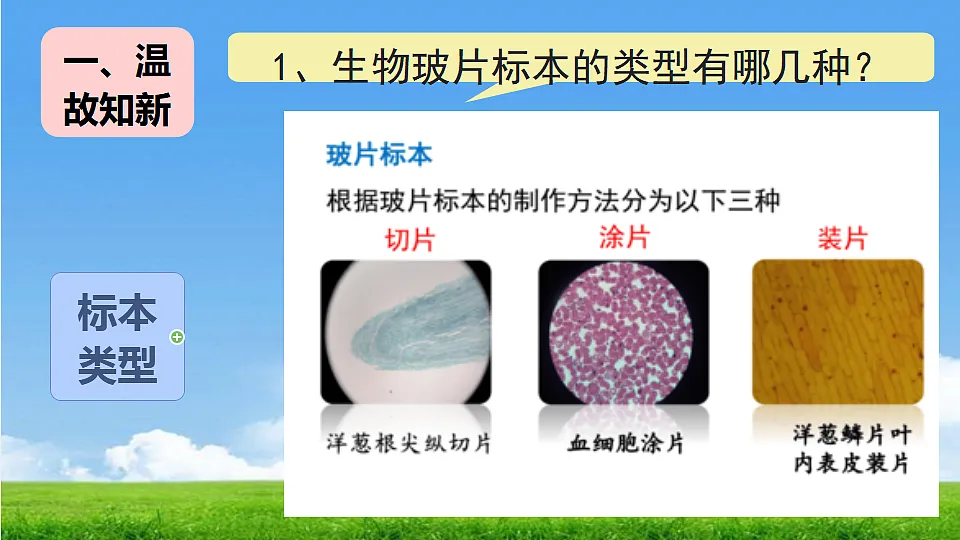 17357006第2页