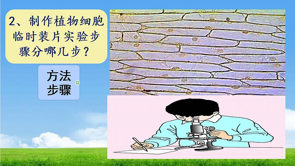 17357006第3页