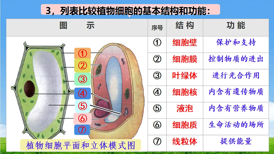 17357006第4页