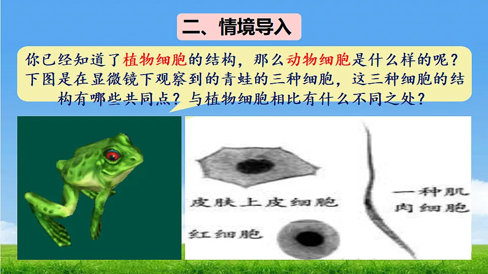 17357006第5页