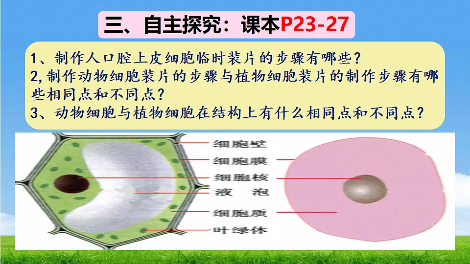 17357006第6页