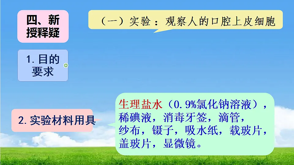 17357006第7页