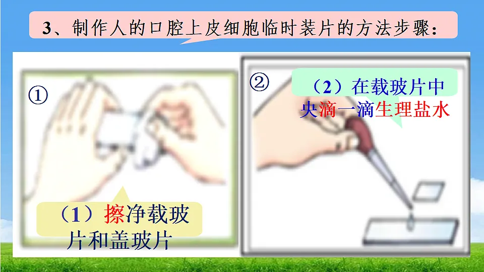 17357006第8页