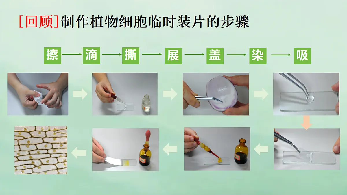 17357007第3页