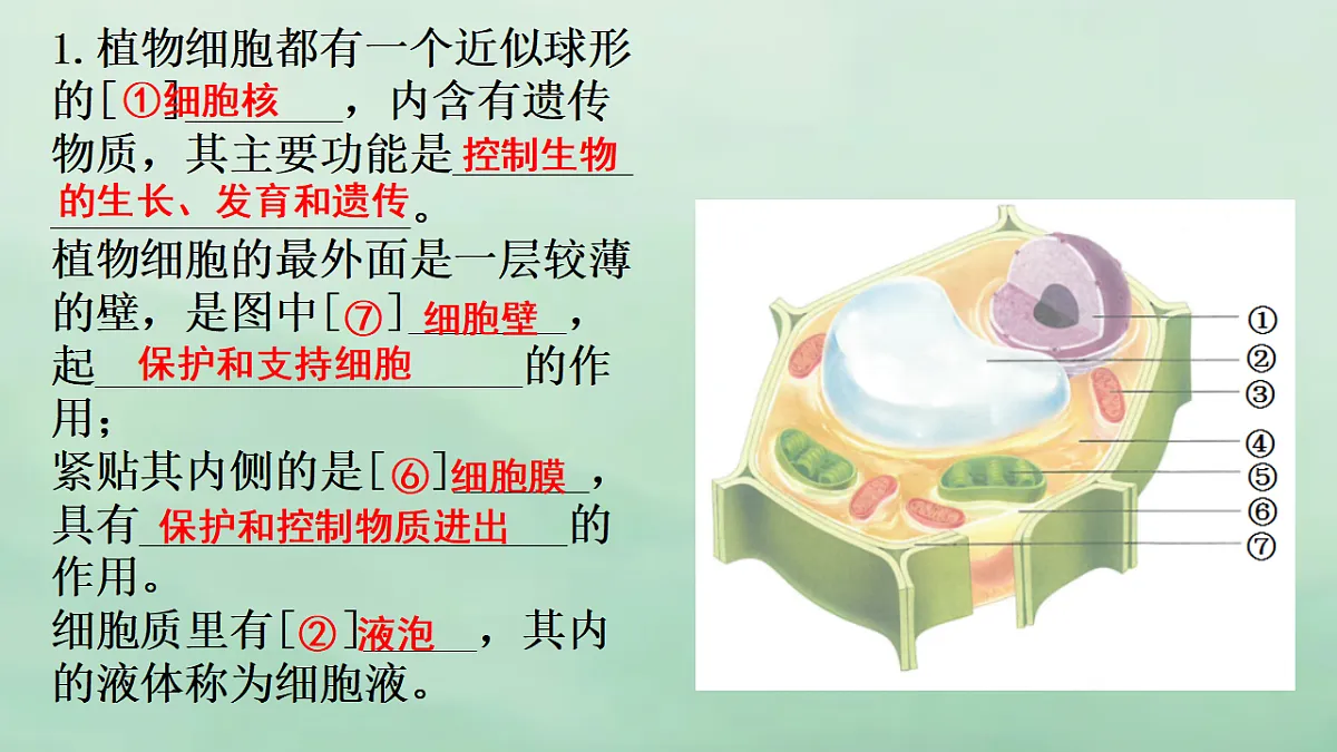 17357007第4页