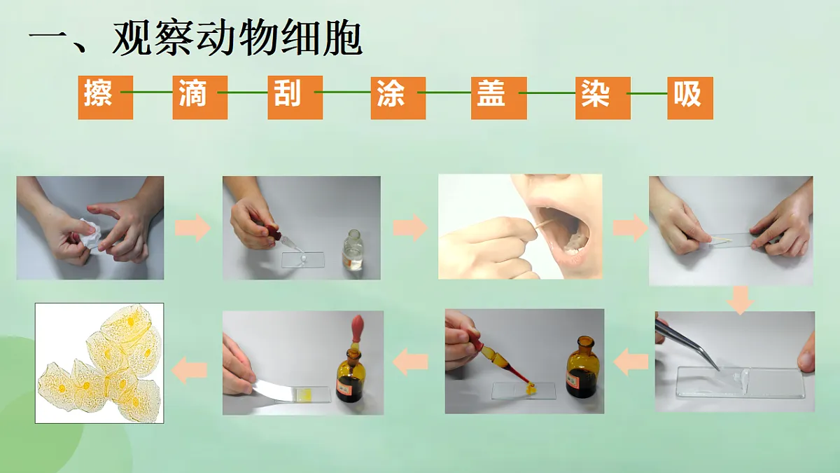 17357007第5页
