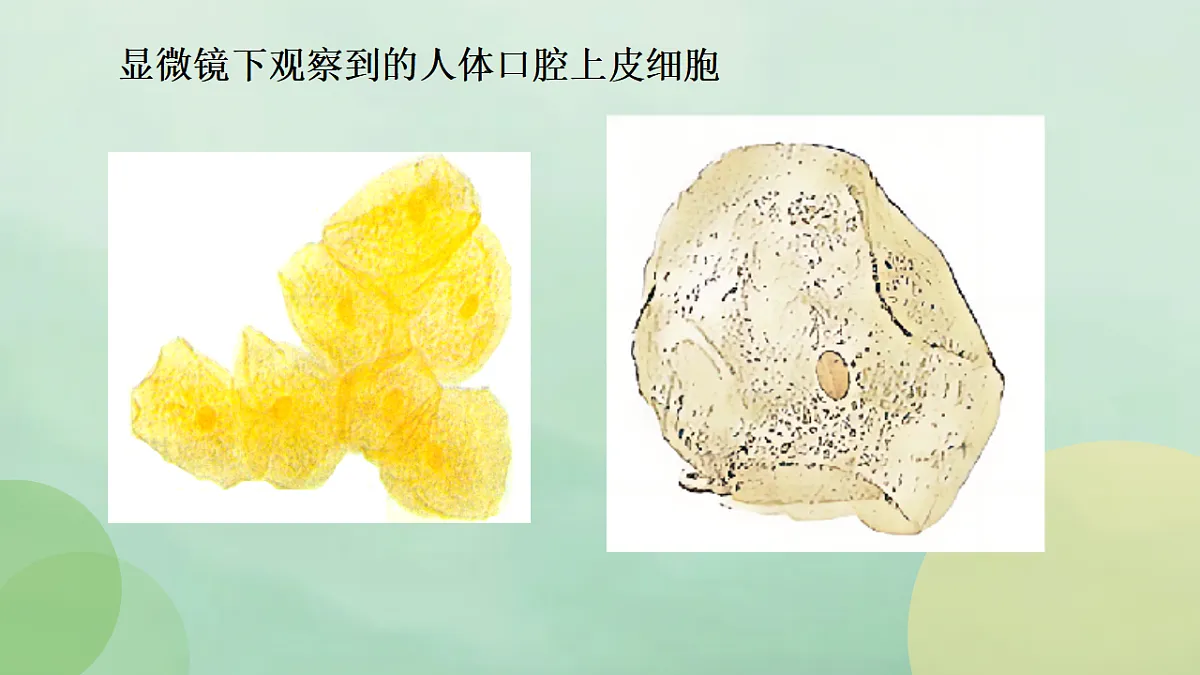 17357007第6页