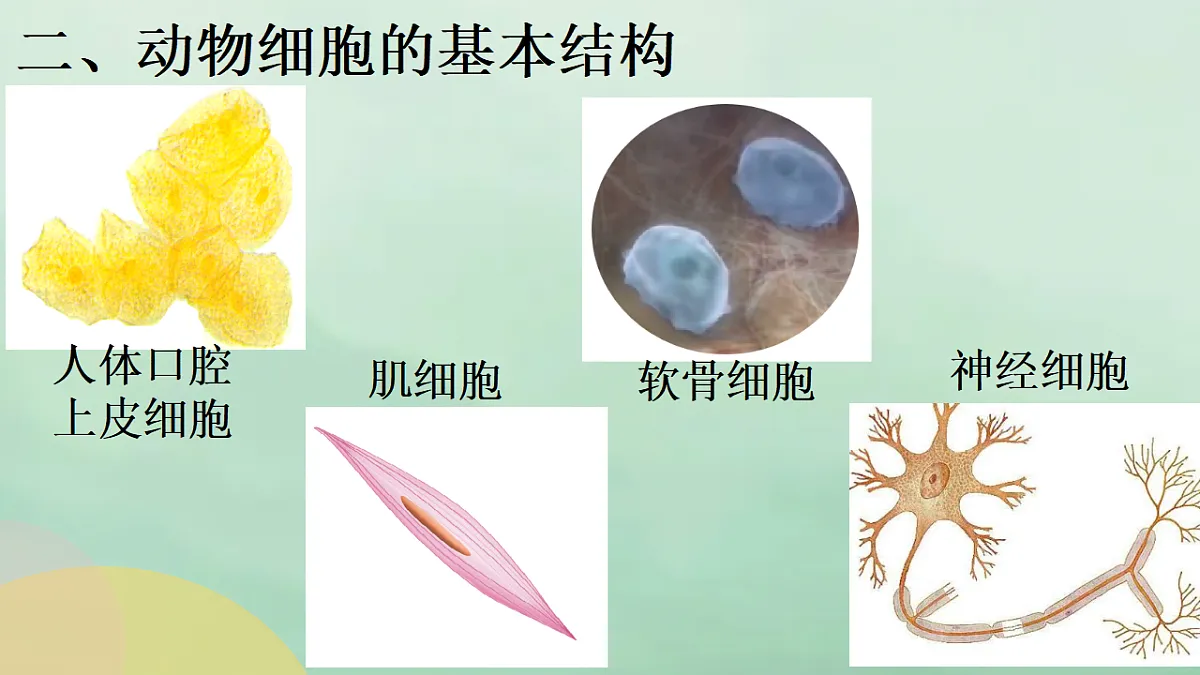 17357007第7页