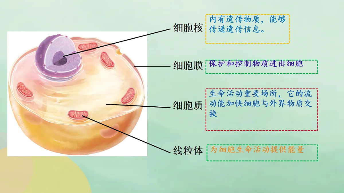 17357007第8页