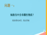 初中  生物  人教版（2024）  七年级上册（2024）  第一单元2.4 细胞的生活 课件