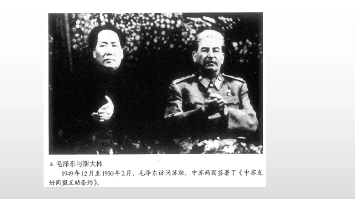 17357081第8页