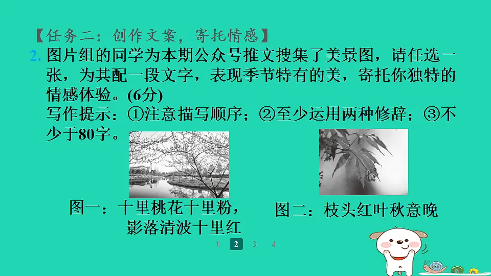 17357408第4页