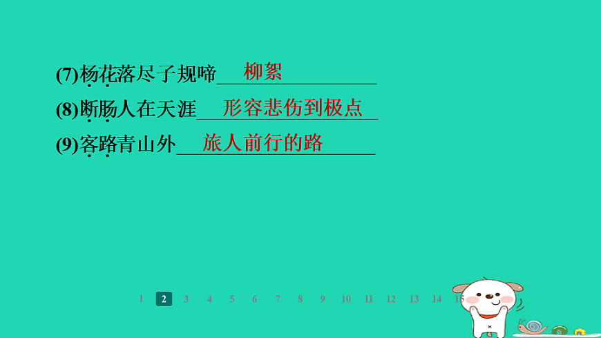 17357686第5页