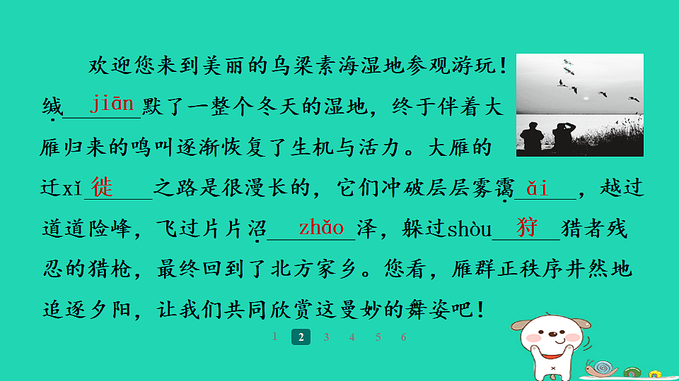 17358022第6页