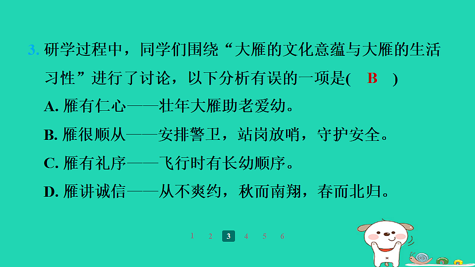 17358022第7页