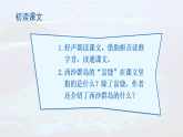 统编版小学语文三年级上册课件《16 富饶的西沙群岛》