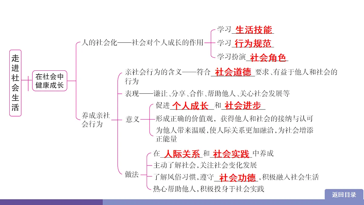 17358394第3页