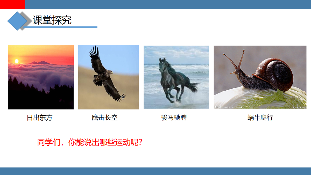 17358478第5页