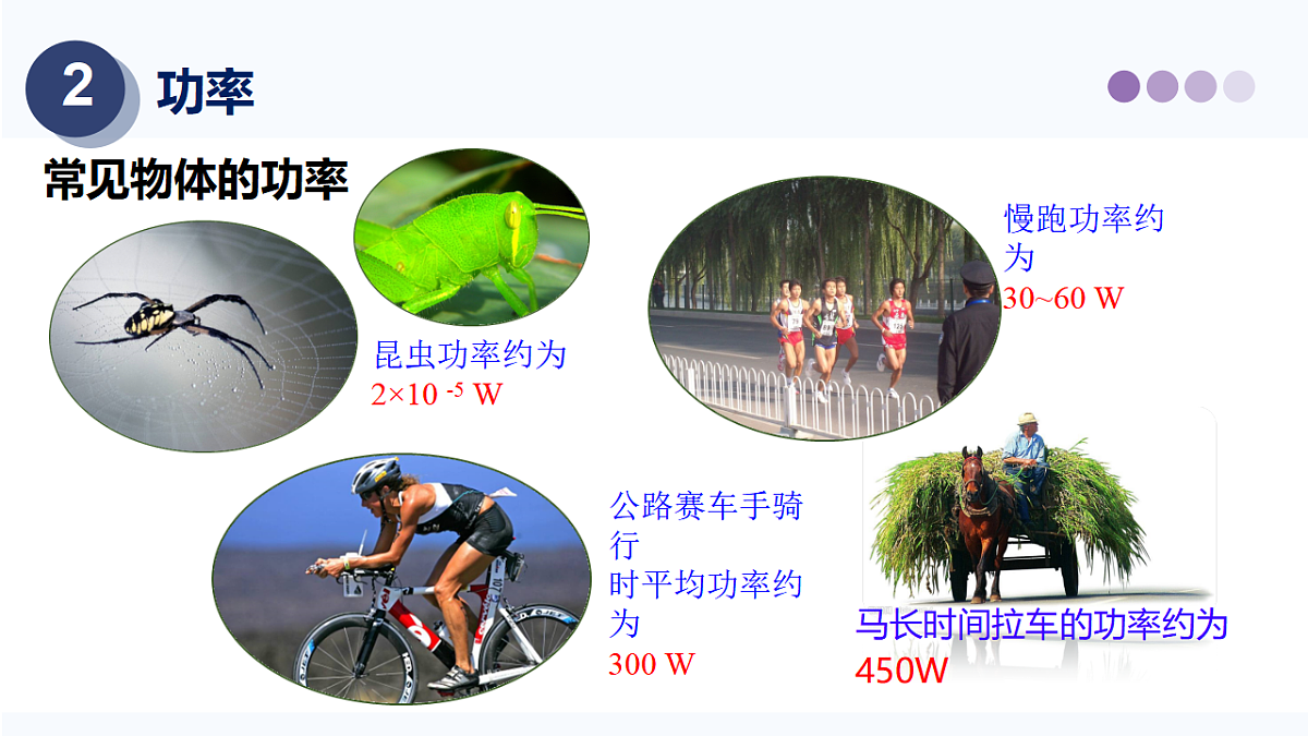 17358484第8页