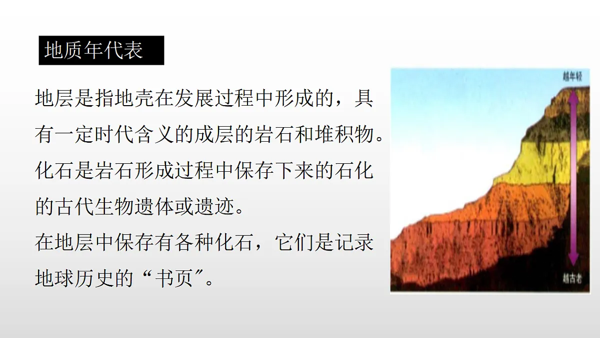 17358553第5页
