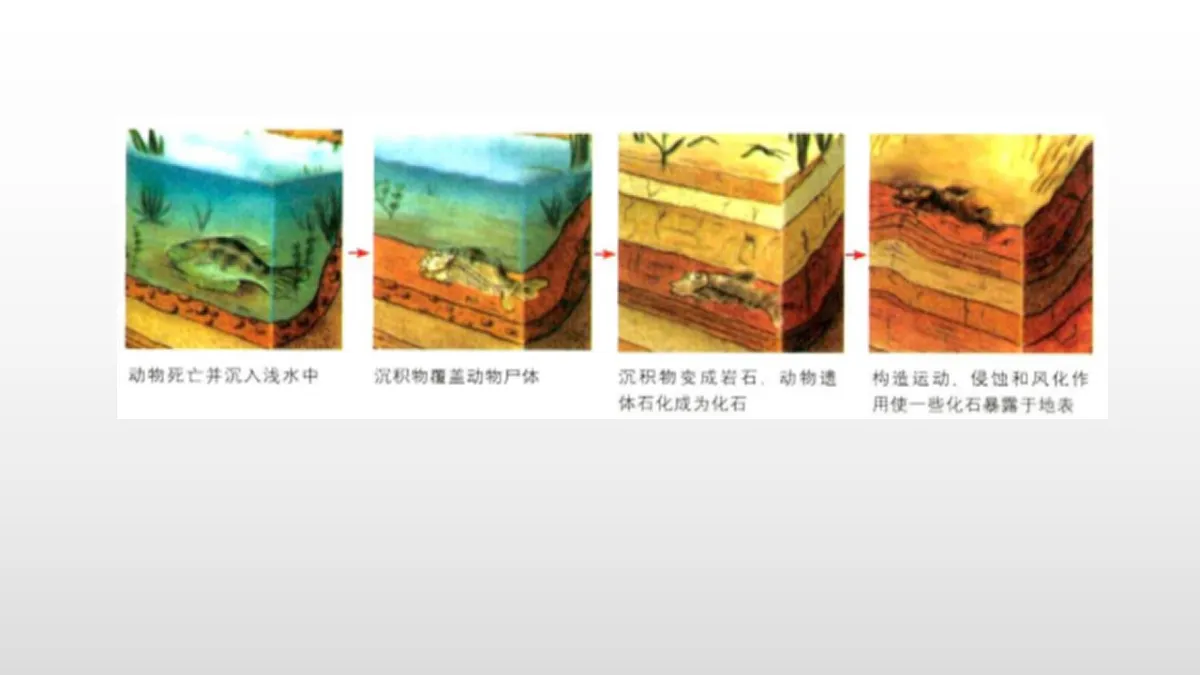 17358553第6页