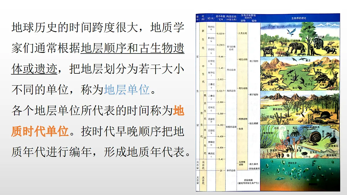 17358553第7页