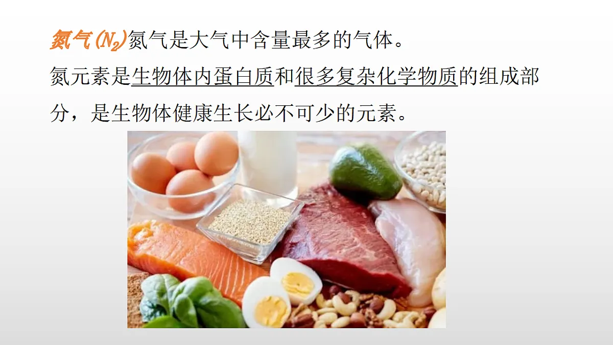 17358555第7页
