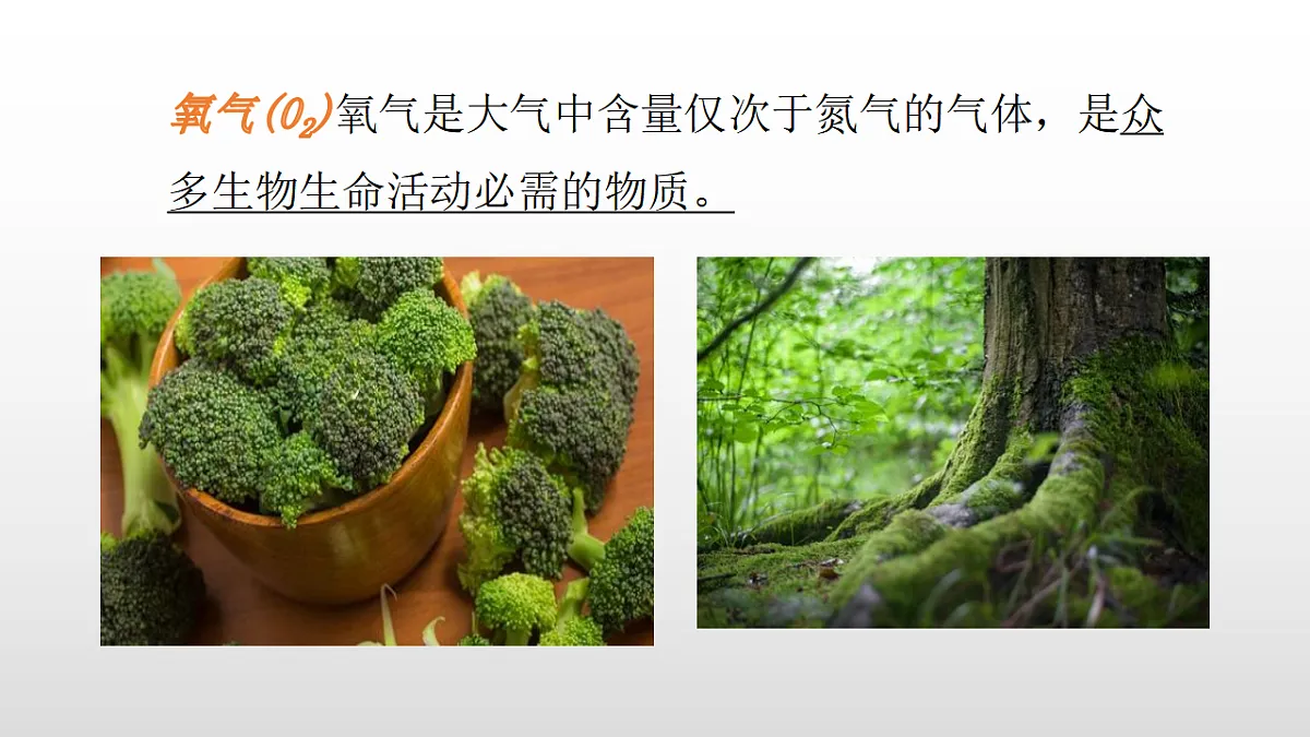 17358555第8页