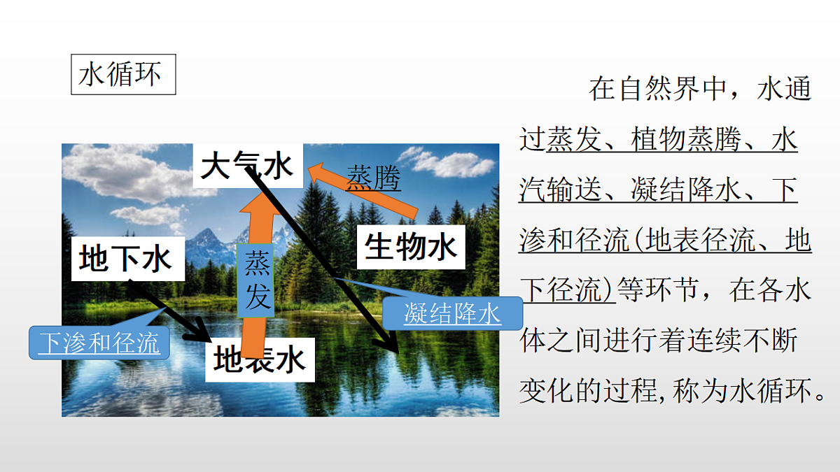 17358556第2页
