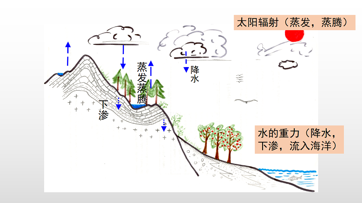 17358556第6页