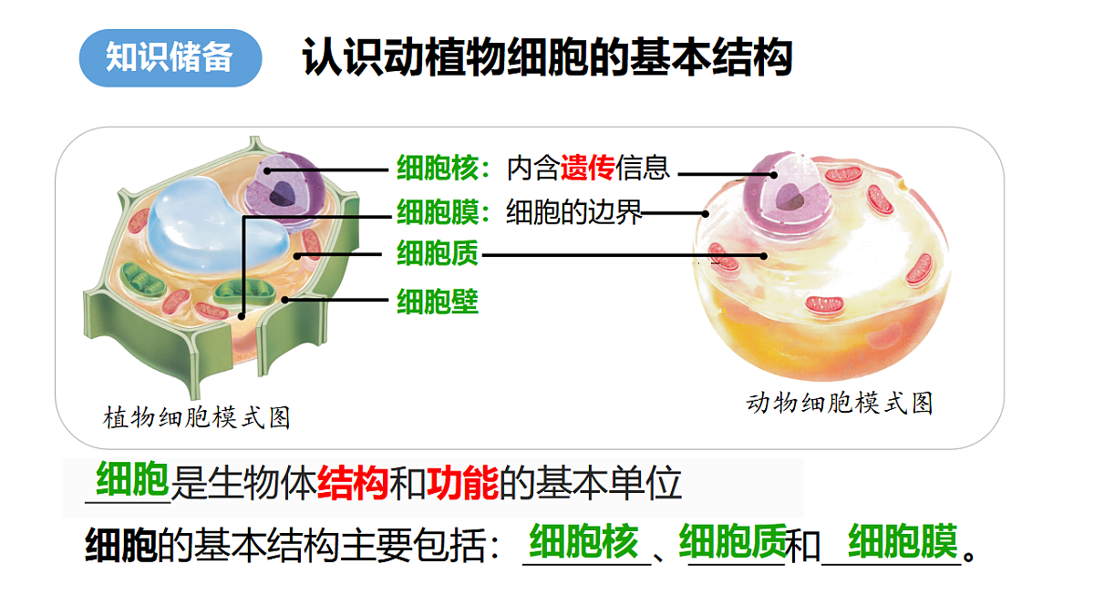 17358558第1页