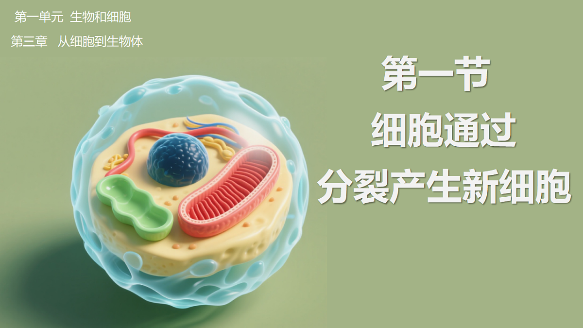 17358558第2页
