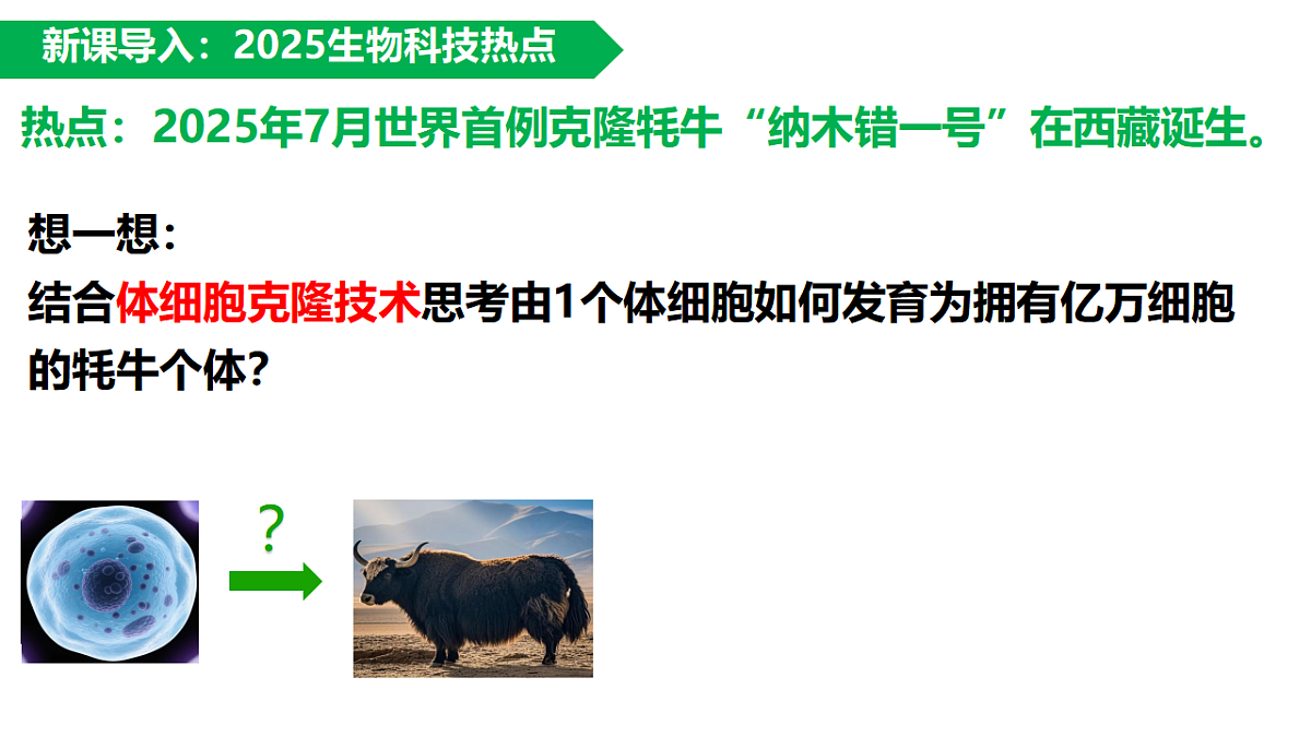 17358558第4页