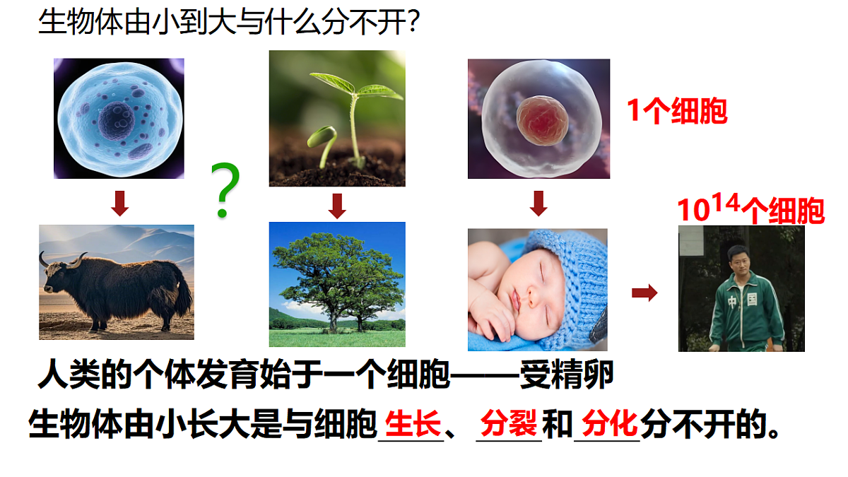 17358558第5页