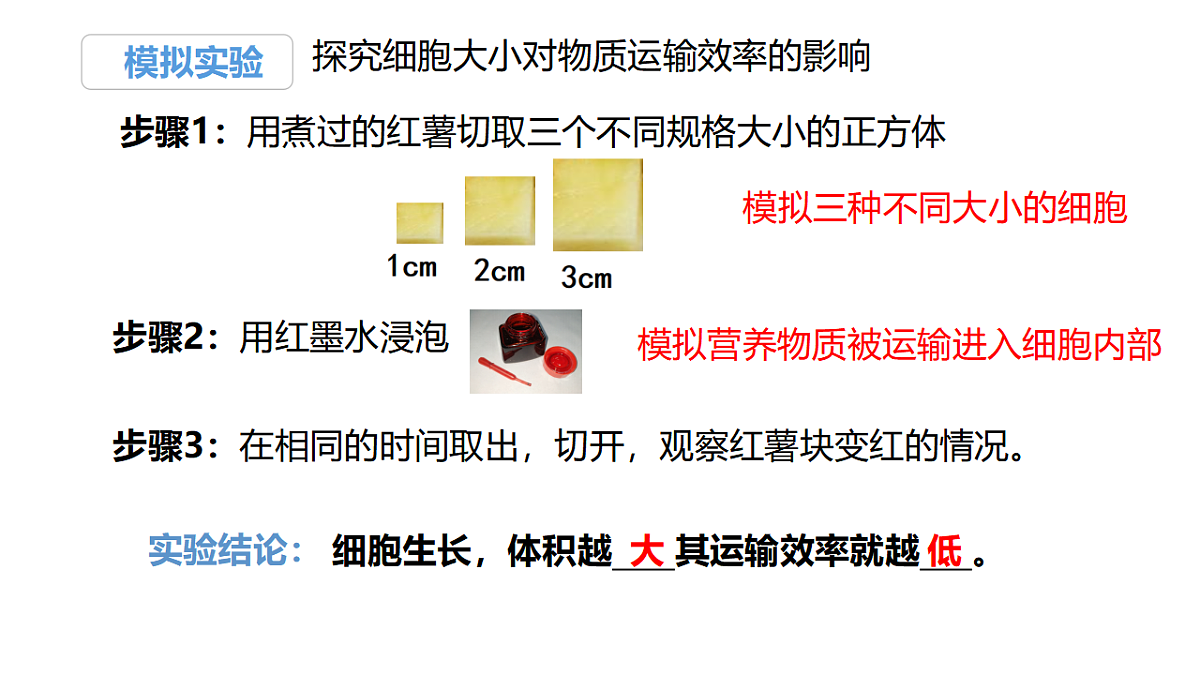17358558第7页