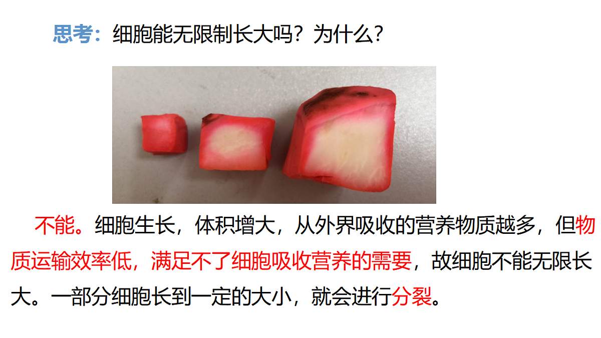 17358558第8页