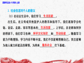 统编版（2024）八年级上册道德与法治第二课 在社会中健康成长 复习课件