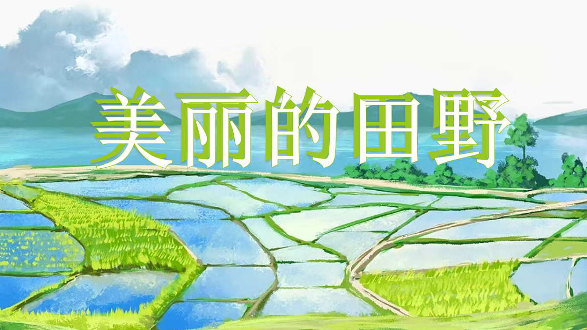 17358706第2页