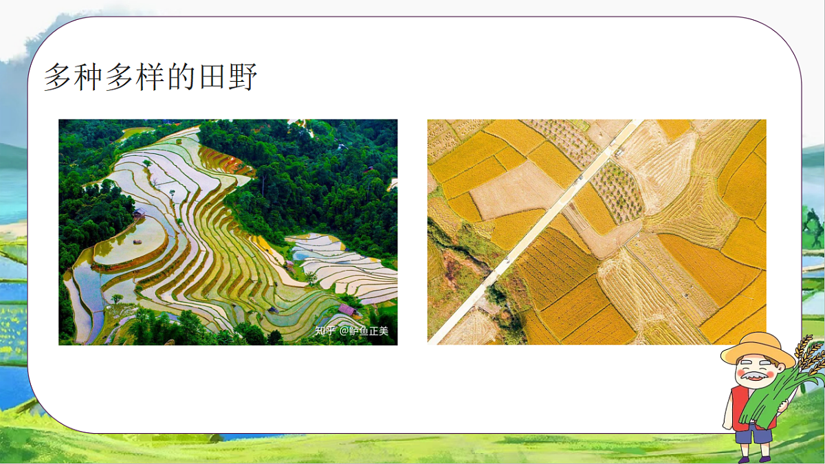 17358706第5页