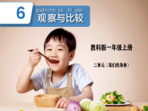 教科版科学一年级上册 6.观察与比较课件