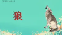 初中语文人教部编版（2024）七年级上册（2024）狼/蒲松龄课文ppt课件