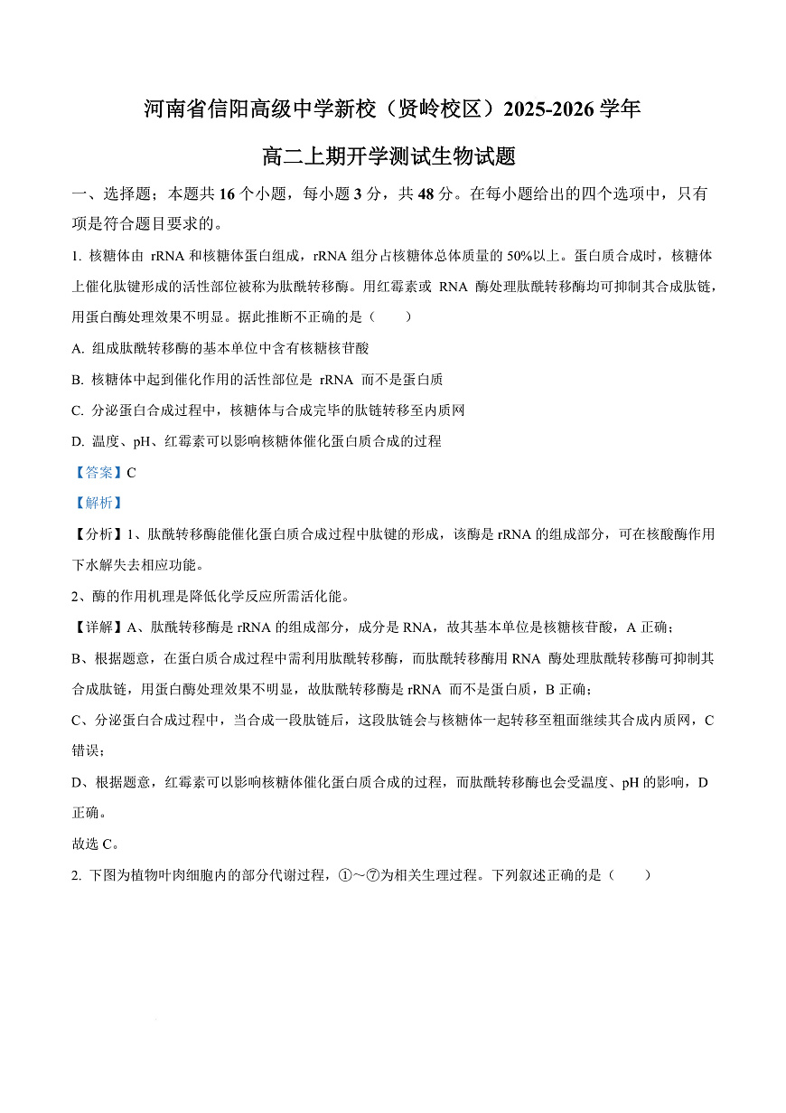 河南省信阳高级中学2025-2026学年高二上学期开学考试 生物答案第1页